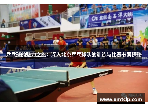 乒乓球的魅力之旅：深入北京乒乓球队的训练与比赛节奏探秘
